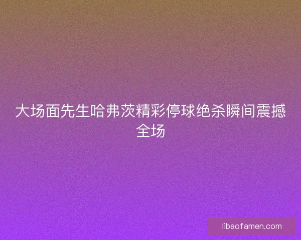 大场面先生哈弗茨精彩停球绝杀瞬间震撼全场